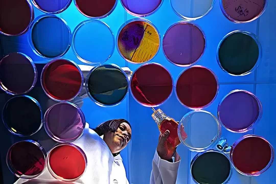 Canada’s Nobel Laureates: A Multidisciplinary Showcase of Excellence