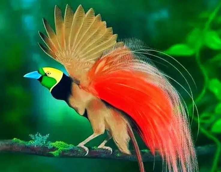The Greater Bird of Paradise: New Guinea’s Avian Wonder Once Thought a Myth